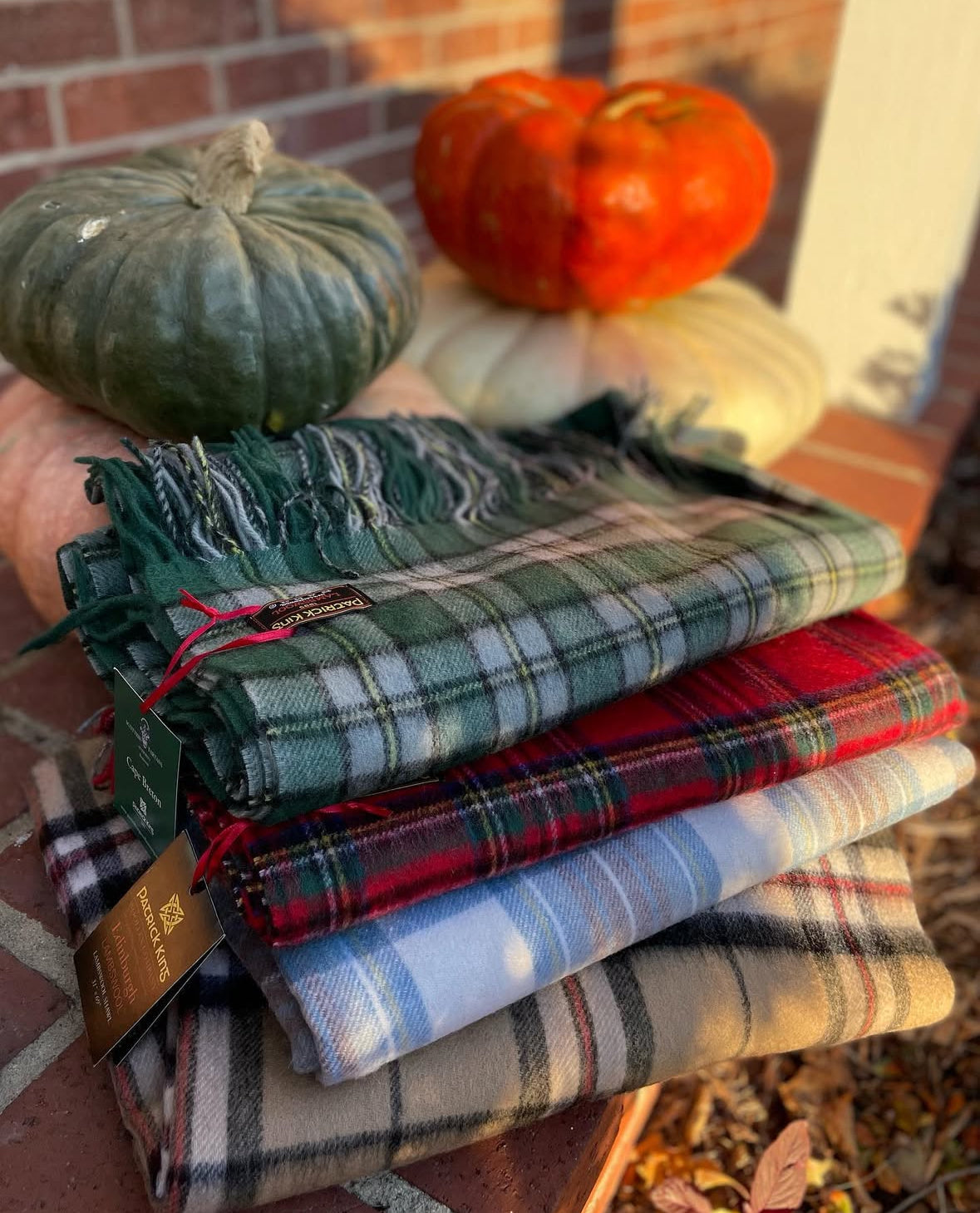 Cozy Throws & Blankets